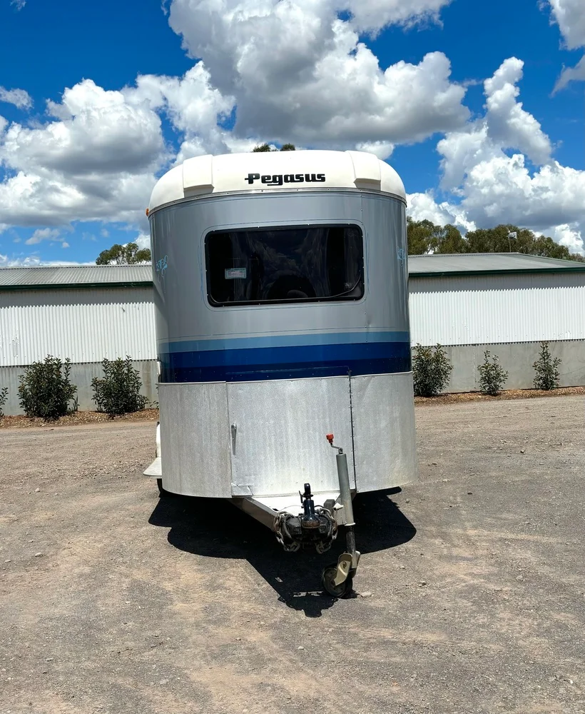 4 Horse Pegasus Angle Float - Image 2